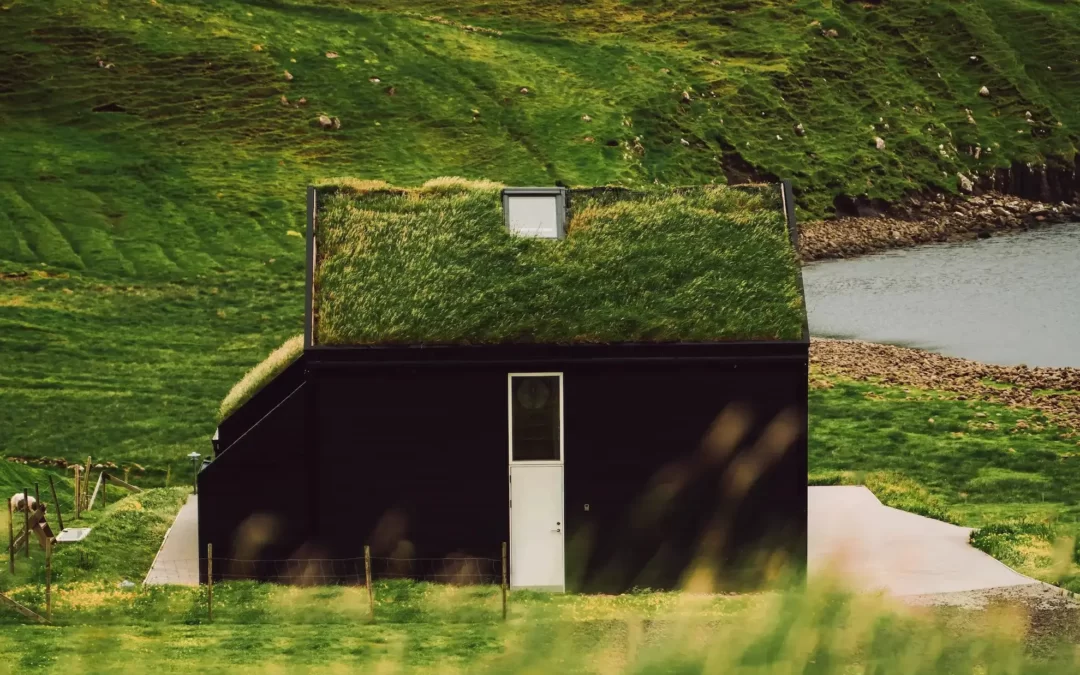 Tiny house : Un nouvel essor dans un monde en mutation