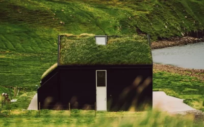 Tiny house : Un nouvel essor dans un monde en mutation